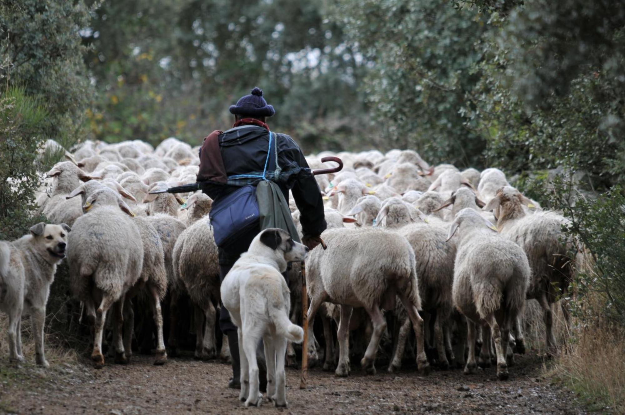 Posada Real La Mula De Los Arribes Villardiegua de la Ribera Ngoại thất bức ảnh