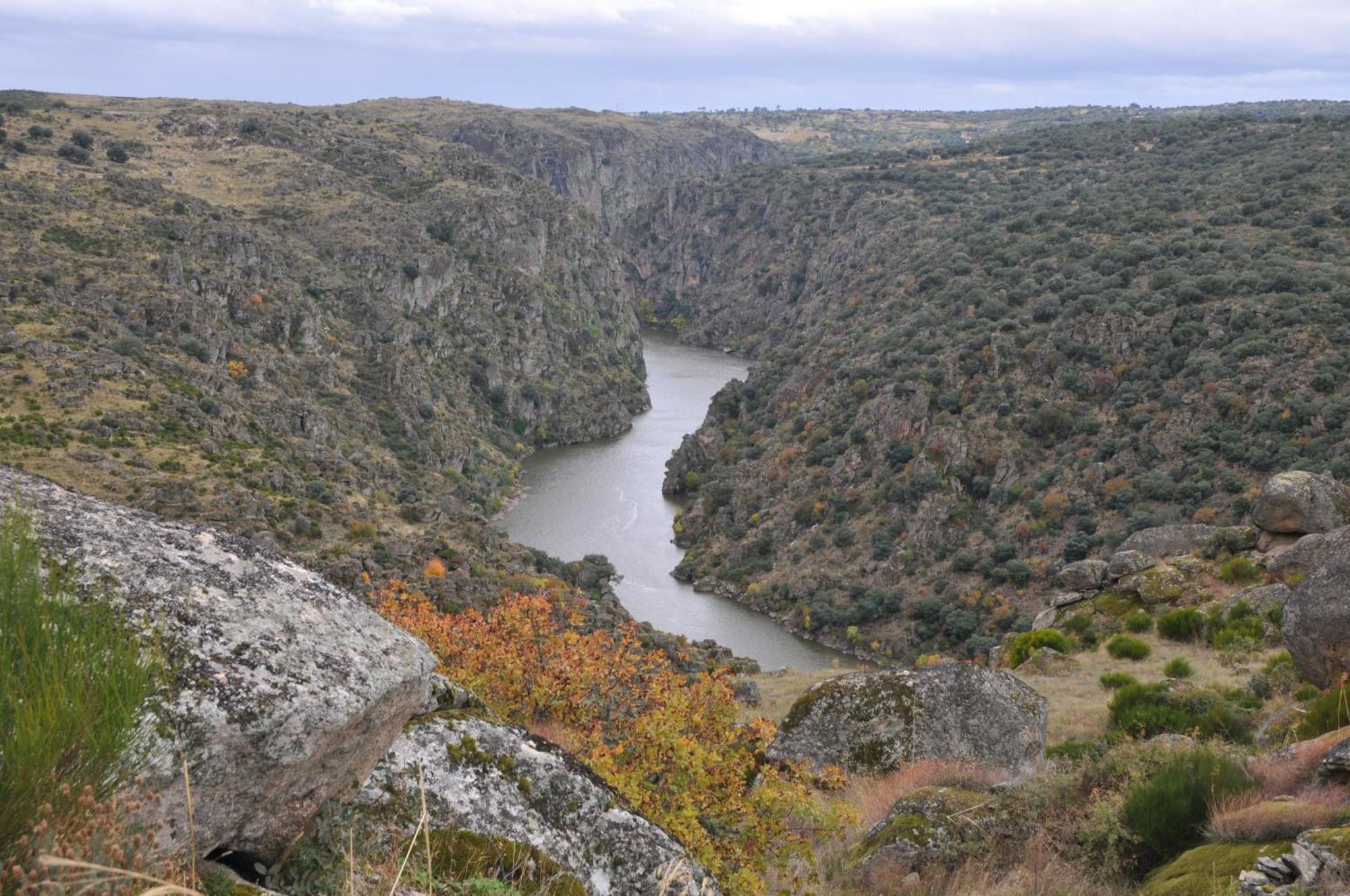 Posada Real La Mula De Los Arribes Villardiegua de la Ribera Ngoại thất bức ảnh